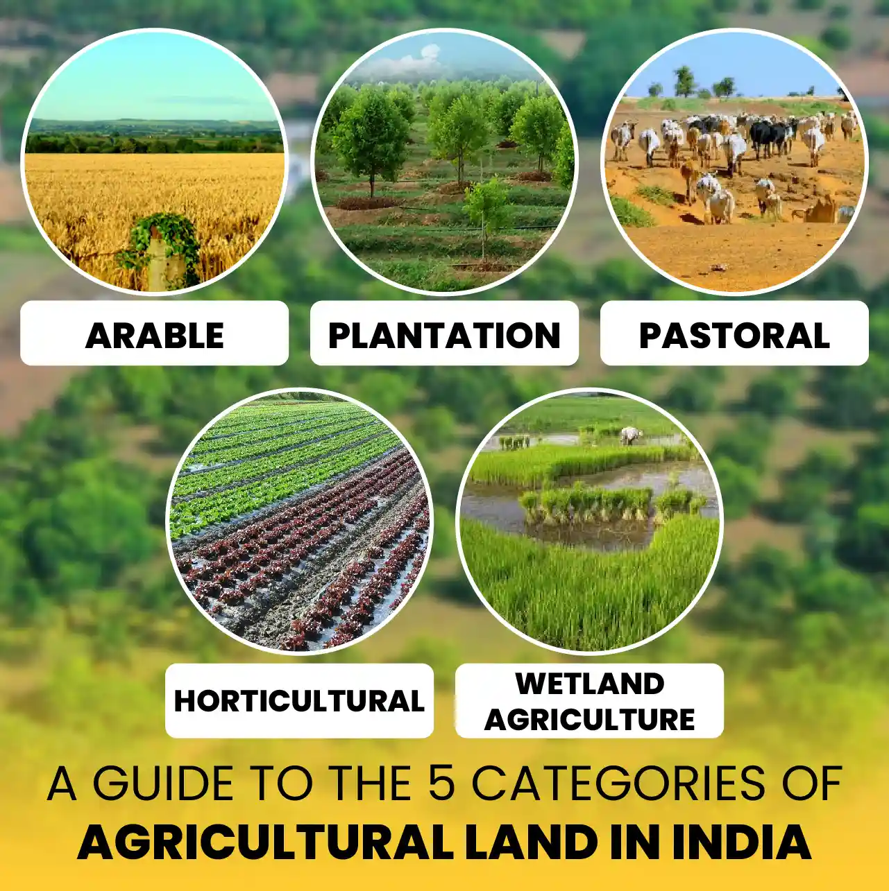 Tilling the Land: India's Five Unique Farming Methods