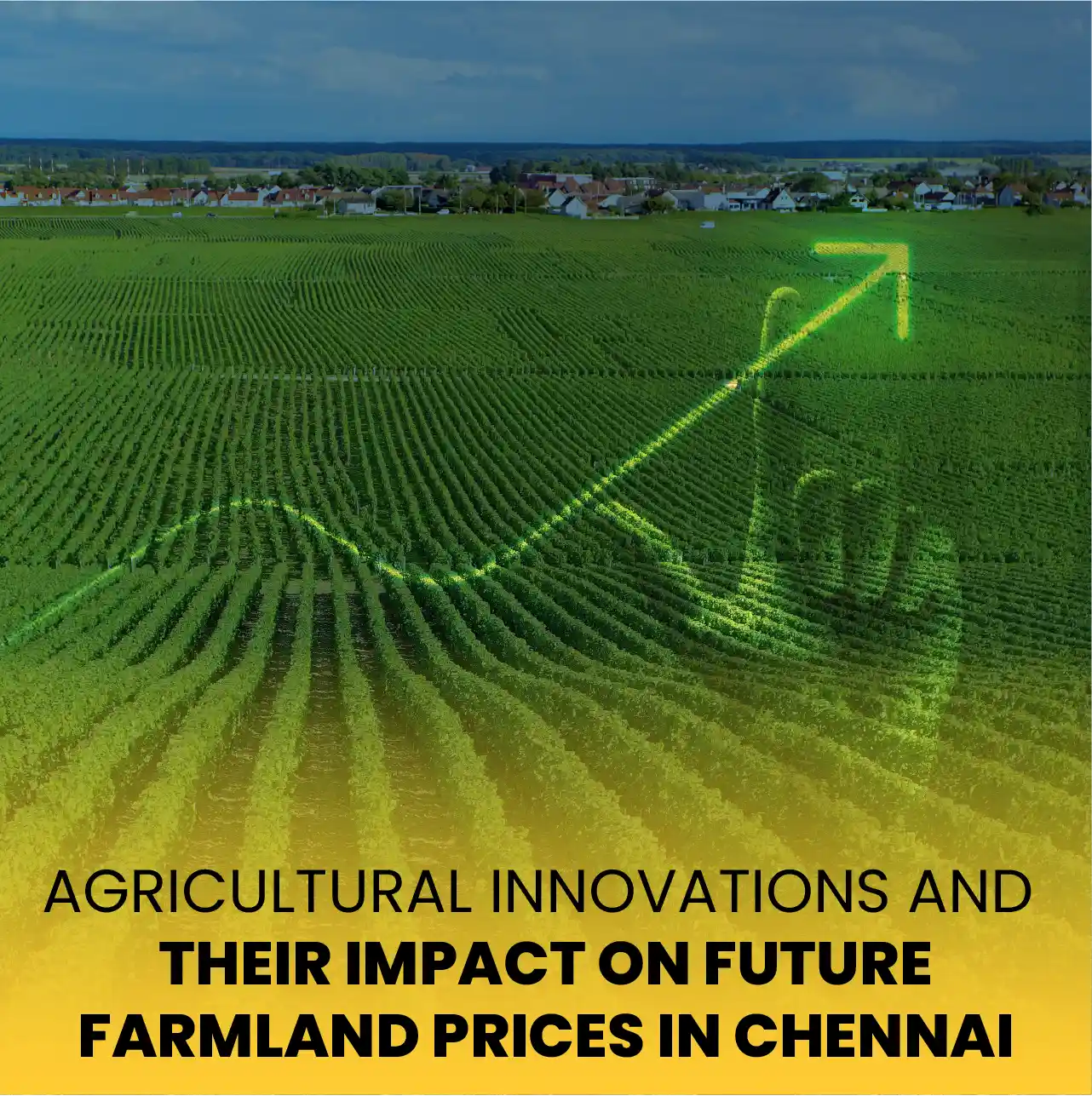 Agriculture Farmland Chennai