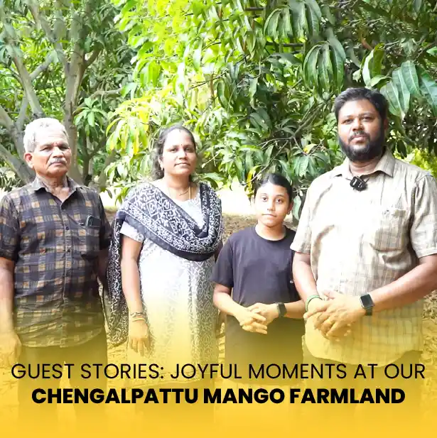 Chengalpattu Mango Farm land