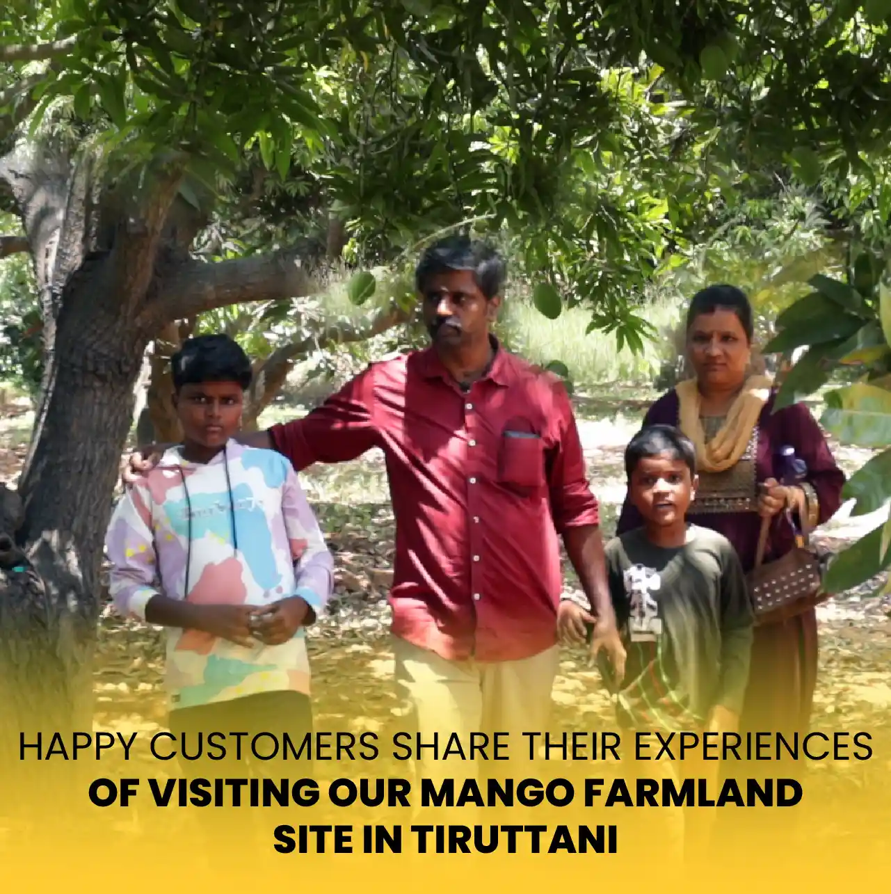 Thiruttani Mango Farmland