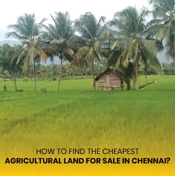 Agricultural Farmland for Sale