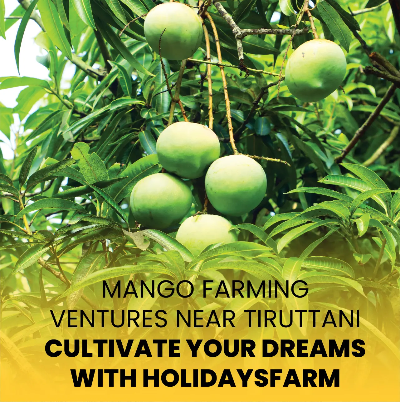 organic farm land for sale