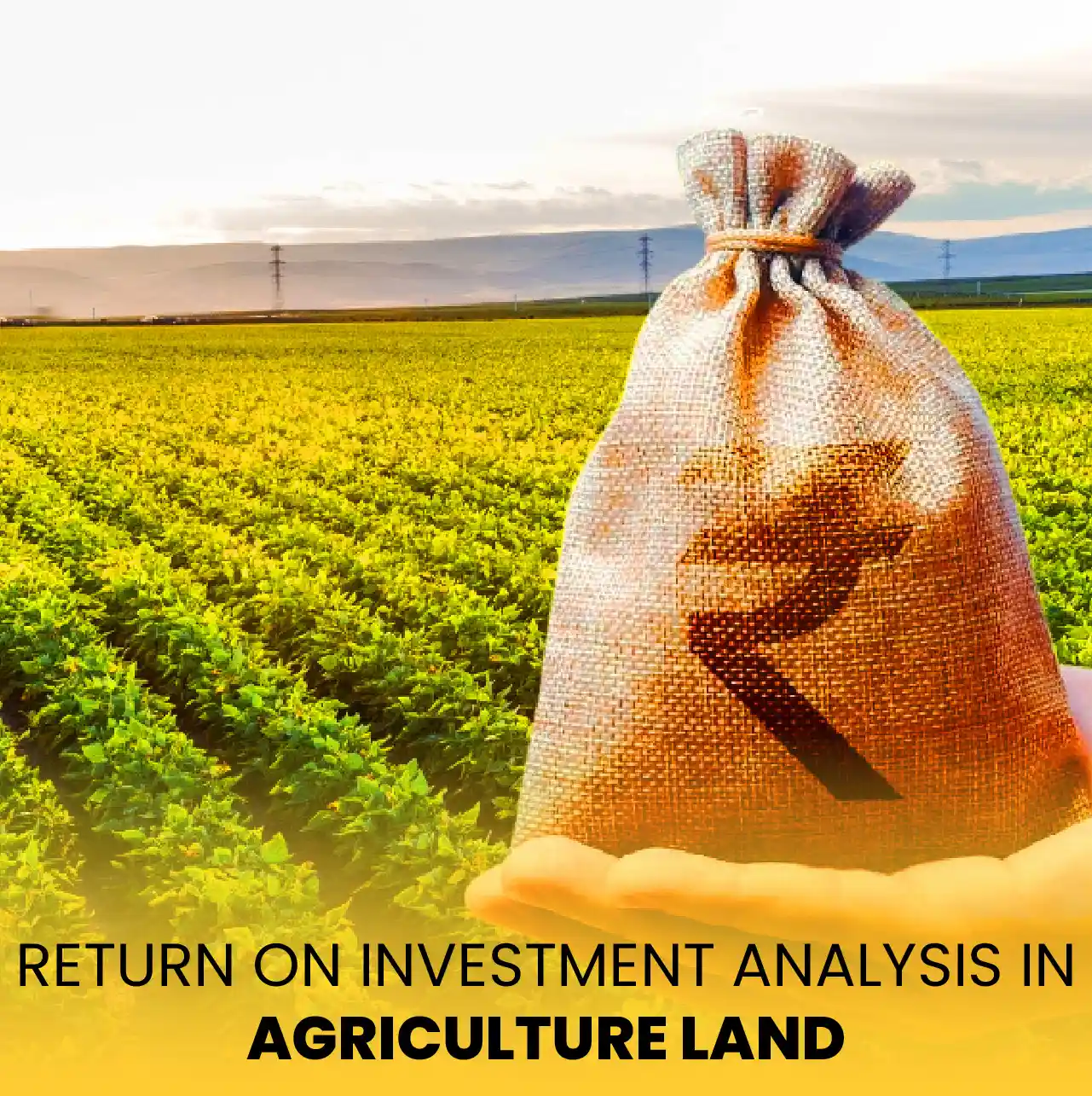 Maximising ROI Through Strategic Planning for Agricultural Land