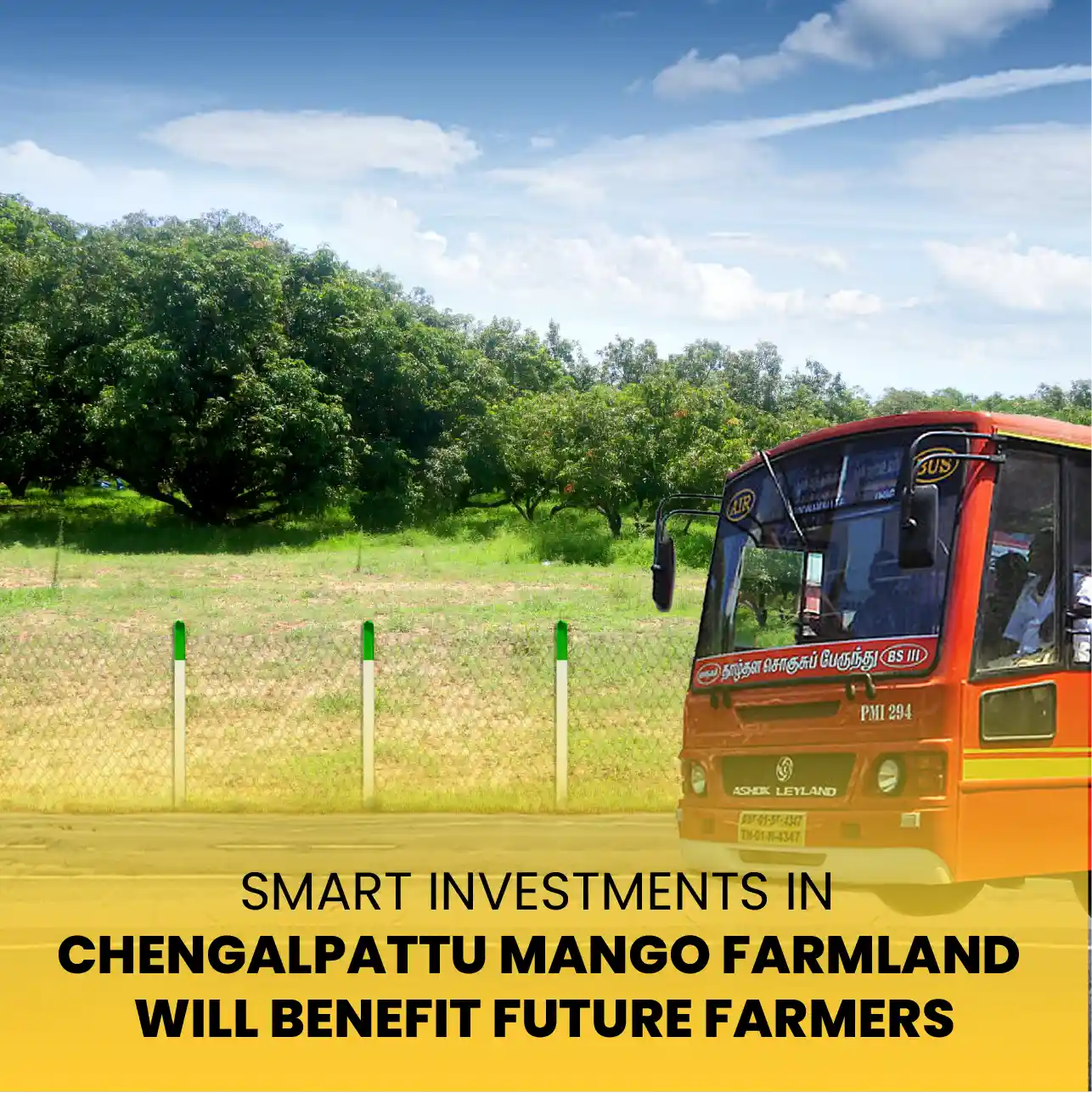 Smart Investments in Chengalpattu Mango Farmland