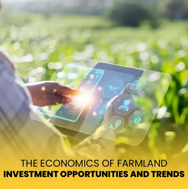 Farmland Investment opportunities