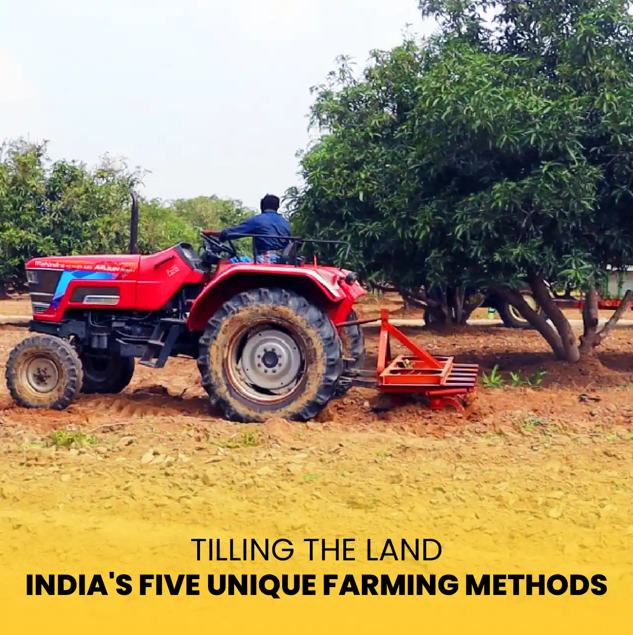 Tilling the Land: India's Five Unique Farming Methods 