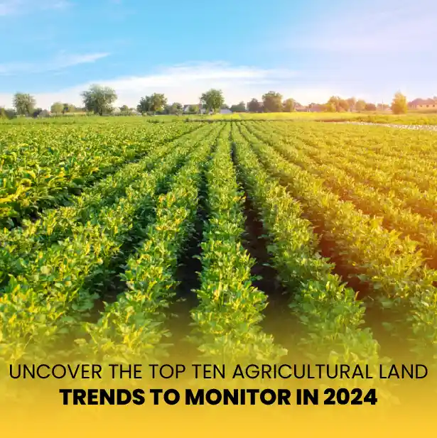 Agricultural Land Chennai