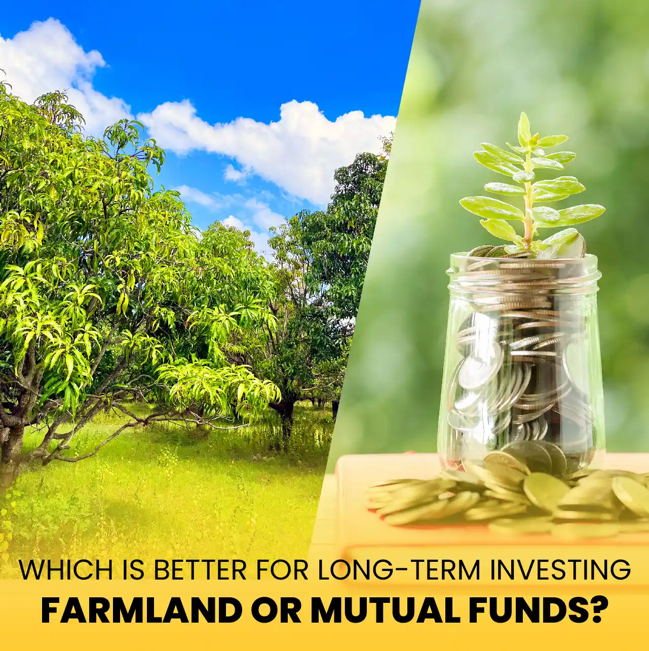 Smart Strategies for Using Agricultural Land in India