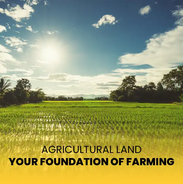 Agriculture Farmland