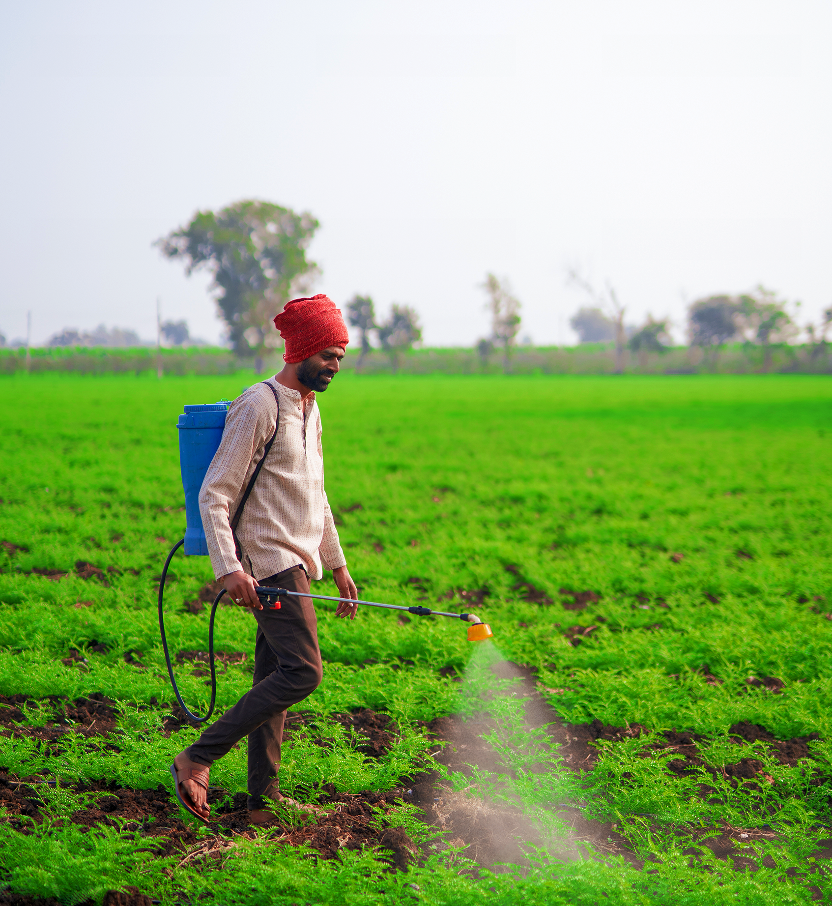 Agriculture Farm land for Sale